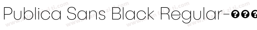 Publica Sans Black Regular字体转换